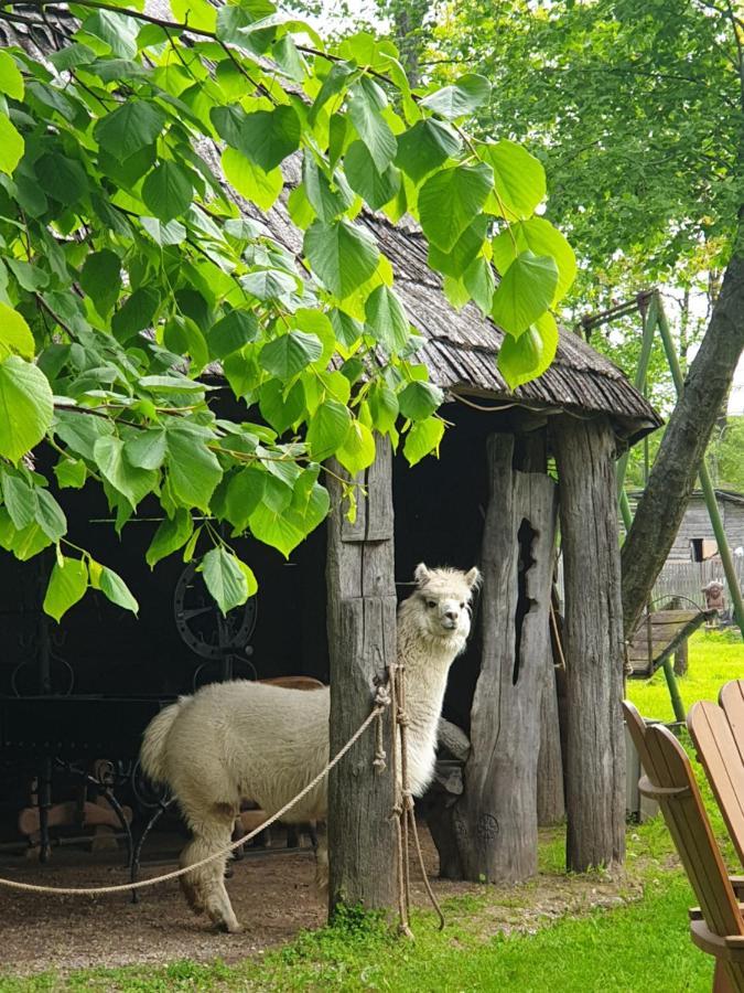 Гостьовий будинок Vienkiemis Крятінґа Екстер'єр фото